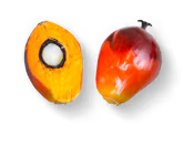 Пальмовое масло в Nutella®