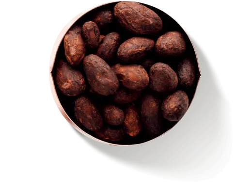 Cocoa