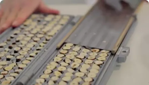 hazelnuts-to-nutella-step-1